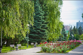 Озеленение города