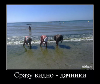 Демотиваторы про приколы на море