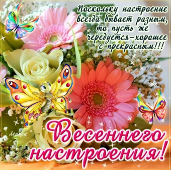 Желаю все весеннего настроения 