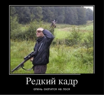 Демотиватор про прикольную охоту