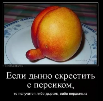 ДЕМОТИВАТОРЫ ПРО РЖАЧНЫЕ МОМЕНТЫ