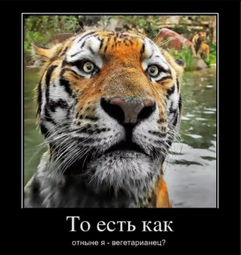 Демотиваторы про тигрулю