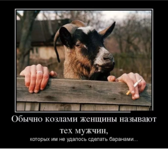 Демотиваторы про кози-мози