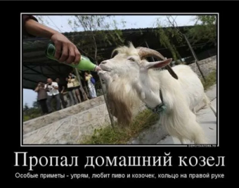 Демотиваторы про кози-мози