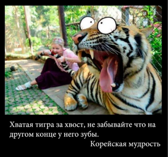 Демотиваторы про тигрулю