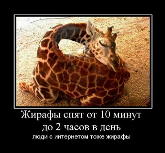 Демотиваторы про жирафа