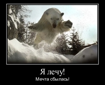 Демотиваторы про белого медведя