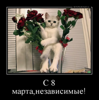 Демотиватор про 8-марта