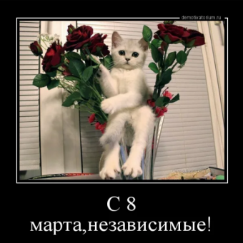 Демотиваторы про 8-марта