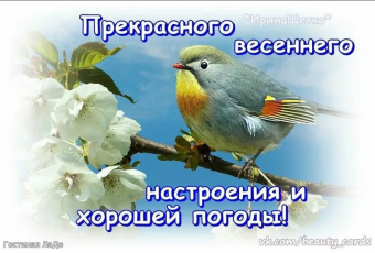 Желаю все весеннего настроения 