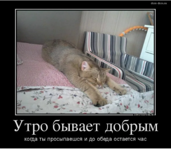 Демотиватор про доброе утро