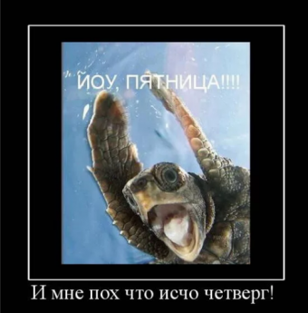 Демотиваторы про четверг