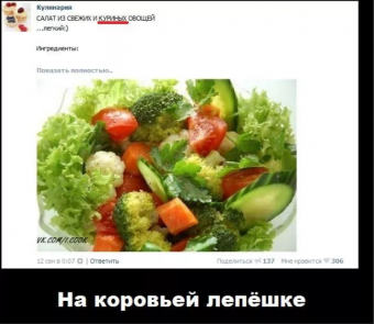 Демотиваторы про приколы с салатами