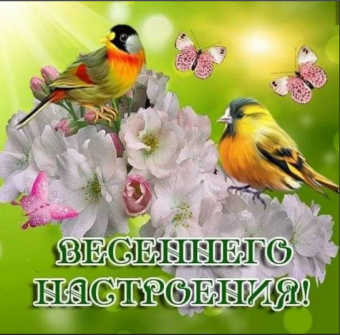 Желаю все весеннего настроения 