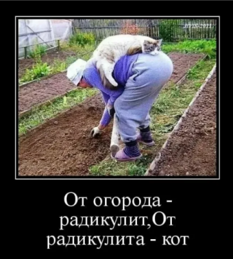 Демотиваторы про огород