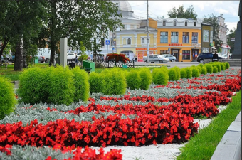 Озеленение города