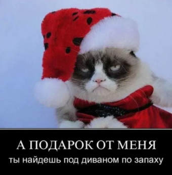 Демотиватор про новый год