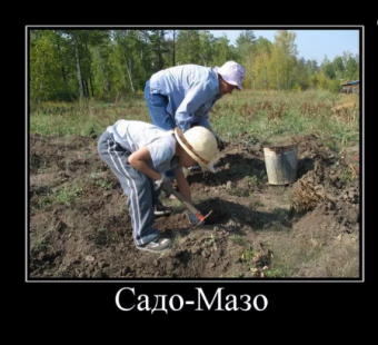 Демотиваторы про огород
