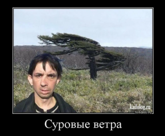 Демотиваторы про ураган