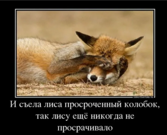 Демотиватор про лисьи проделки