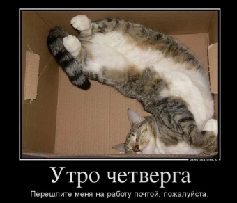 Демотиваторы про четверг