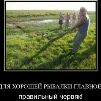Приколы про рыбалку