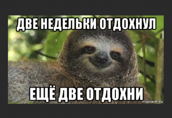 Демотиваторы про ленивца