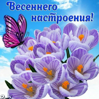 Желаю все весеннего настроения 