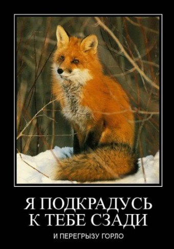 Демотиватор про лисьи проделки