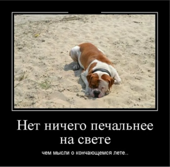Демотиватор про летний отдых
