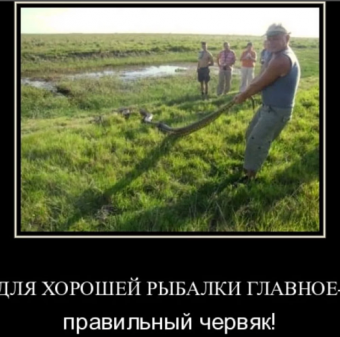 Демотиватор про рыбалку