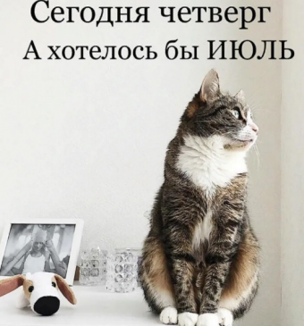 Демотиваторы про четверг