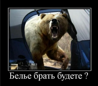 Демотиваторы про белого медведя