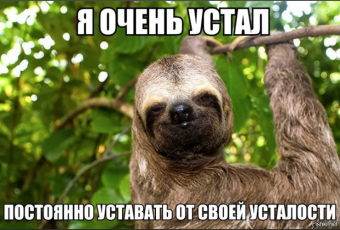 Демотиваторы про ленивца