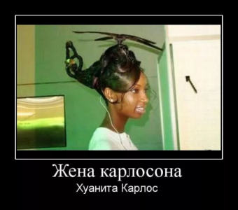 Демотиватор про прикольные прически