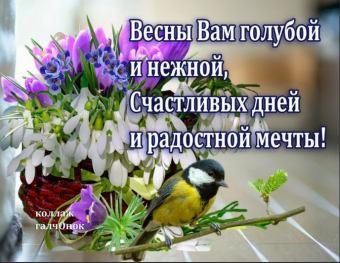 Желаю все весеннего настроения 
