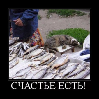 Демотиватор про рыбалку