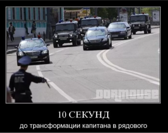 Демотиватор про ГИБДД