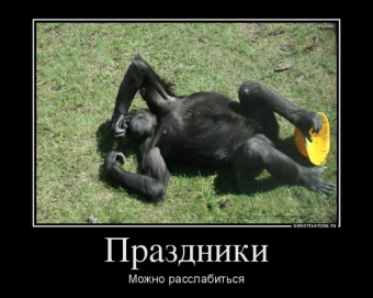 Общество обезьян