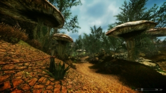 TES Morrowind на движке Creation Engine