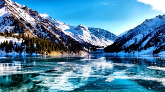 Природа как она есть