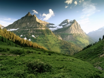 Природа как она есть
