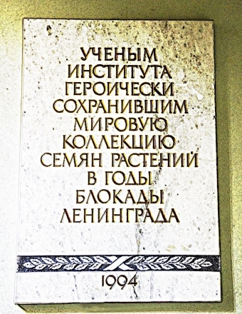 Празднику великой Победы посвящается: зерно жизни