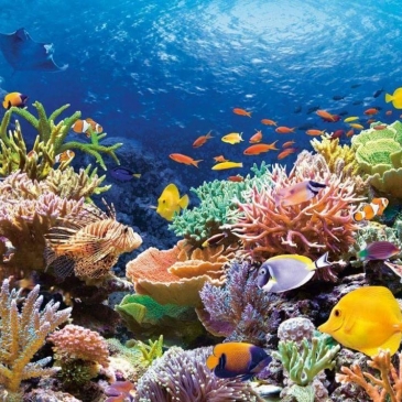 Тест о морях и океанах нашей планеты 2 часть Тест о морях и океанах нашей планеты 2 часть