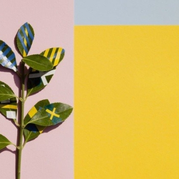 Знаете ли вы эти растения?