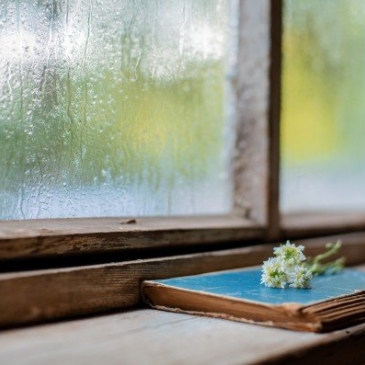 У вас потрясающий кругозор, если вы ответите на эти 12 вопросов