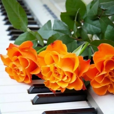 Как хорошо ты знаешь цветочные песни? 