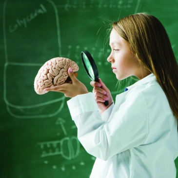 Викторина по биологии - Ткани