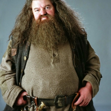 Тест Гарри Поттер. Экзамен по Уходу за Магическими существами