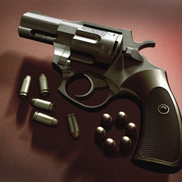 Тест про револьверы. Устройство и назначение Тест про револьверы. Устройство и назначение